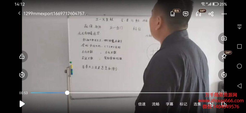 正一元皇法坛张师傅6集视频