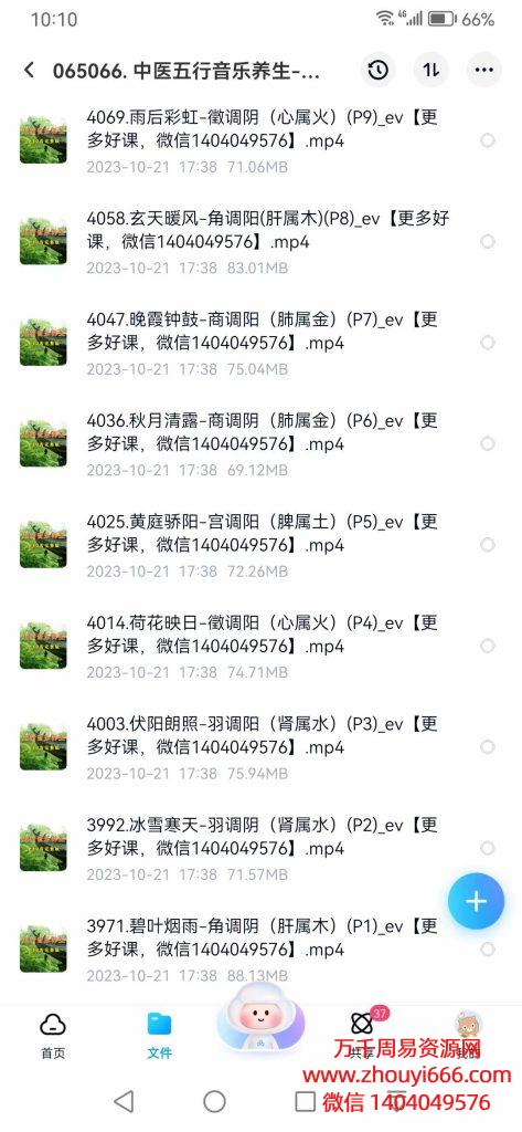 中医五行音乐养生-绝版合集，视频10集