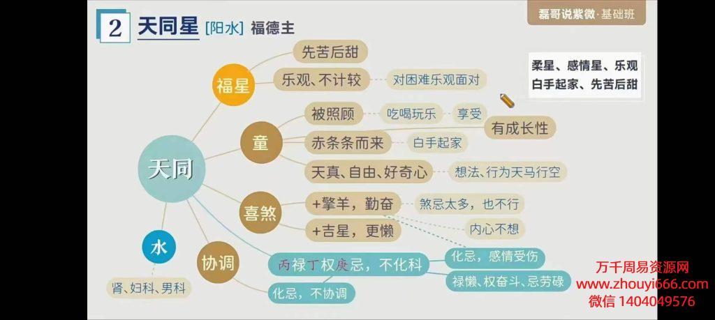 磊哥漫画说紫薇 26集视频