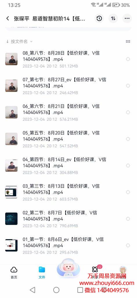 张琛平易道智慧初阶，视频8集