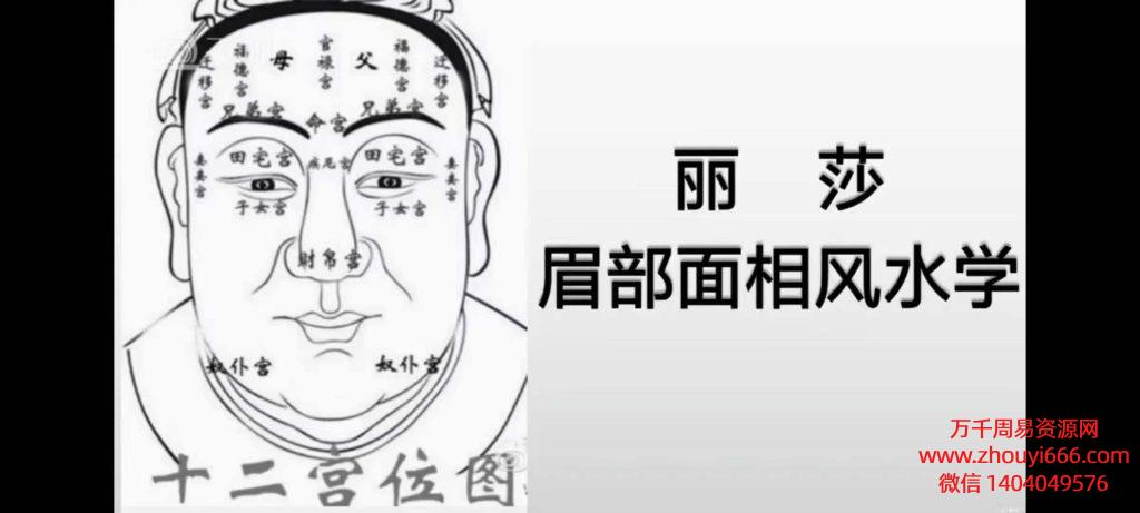 丽莎相法解读视频42集