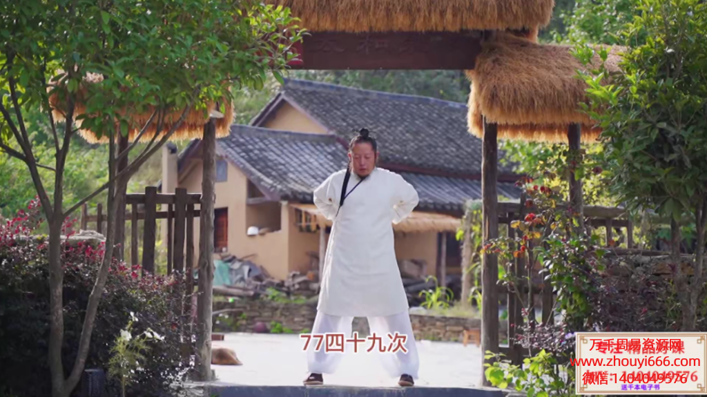 李资通道家混元桩，视频15集