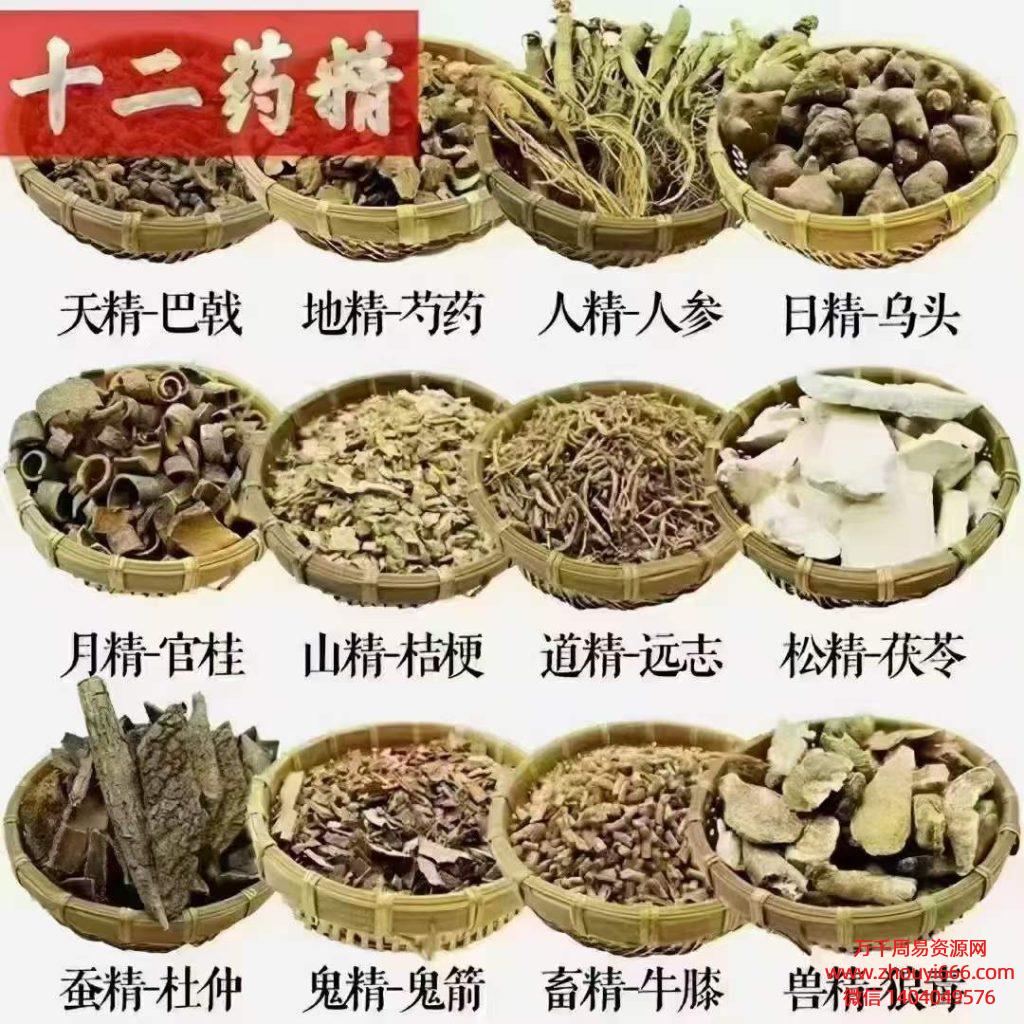 中药化解-十二药精‎‏道法PDF9本 ‏‏​‎