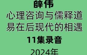 薛伟心理咨询与儒释道易在后现代的相遇11讲音频