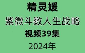 精灵媛老师紫微斗数人生战略39讲视频