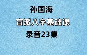 孙国海盲派八字基础课23集录音