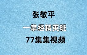 张敬平一掌经精英班77集视频