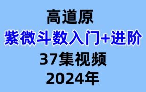 高道原紫微斗数入门+进阶共37集视频