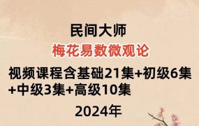 民间大师梅花易数微观论40集视频