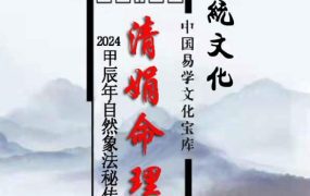 【免费】杨清娟2024甲辰年盲派八字深圳高维班面授PDF电子文档309页