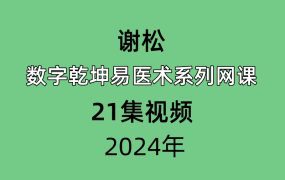 谢松数字乾坤易医术系列网课21集视频