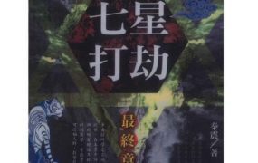 秦振七星打劫最终章PDF电子文档190页