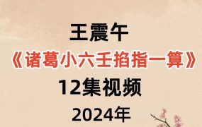 王震午《诸葛小六壬掐指一算》12集视频