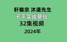 轩辕宗沐道先生子平实战基础 全32讲视频