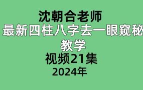 沈朝合老师最新四柱八字去一眼窥秘教学，视频21集