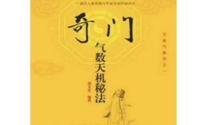 卧龙真人-胡文星《奇门气数天机秘法 》PDF电子文档342页