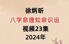 徐炳昕八字命理知命识运课视频23集