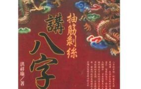 洪祥瑜  抽筋剥丝讲八字PDF274页
