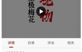 陈春林～观物｜皇极梅花精品课程 12集视频