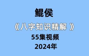 鲲侯《八字知识精解 》55集视频