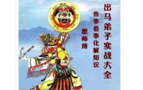 霍师傅出马仙《出马弟子实战大全》PDF文档239页