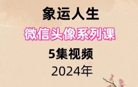 象运人生 微信头像系列课5集视频