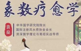 袁燊 八卦象数疗愈学视频39集