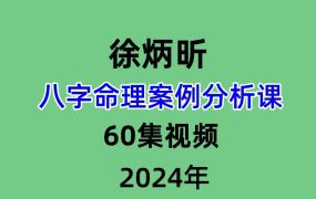 徐炳昕八字命理案例分析课 60集视频