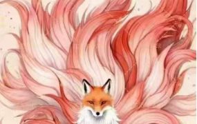首期高维‬九狐灵气视频4集