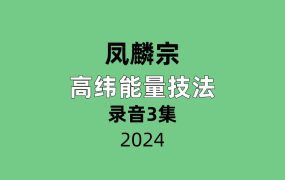 凤麟宗高纬能量技法
