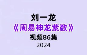 刘一龙《周易神龙紫数》86集