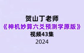 《贺山丁老师神机妙算六爻预测学原版》43集视频