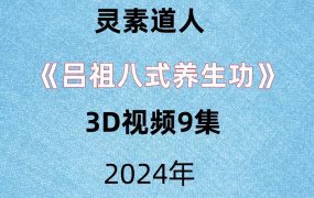 灵素道人《吕祖八式养生功》3D视频9集
