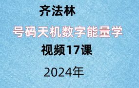 齐法林，号码天机数字能量学，视频17课，每集大概20分钟