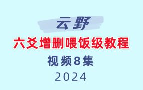 云野六爻增删喂饭级教程8集视频