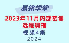 易铭学堂2023年11月内部密训远程调理