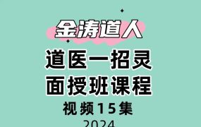 金涛道人道医一招灵面授班课程视频15集