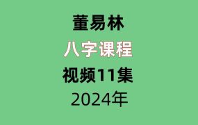 董易林八字视频11集