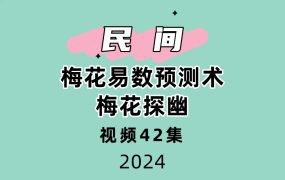 梅花易数预测术 梅花探幽42集视频