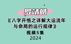 夏光明弟子罗靖皓 《八字开悟之详解大运流年与命局的运行规律》5集