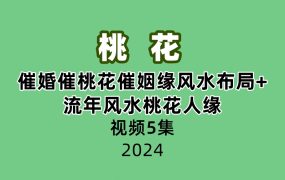 催婚催桃花催姻缘风水布局+2019流年风水桃花人缘视频5集