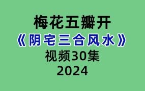 梅花五瓣开阴宅三合风水30集视频