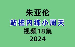 朱亚伦站桩内练小周天视频18节课