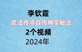 李钦霆武法传承真传神掌秘法，2个视频，每个视频1个多小时