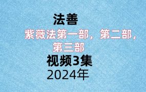 法善紫薇法第一部，第二部，第三部，视频3集