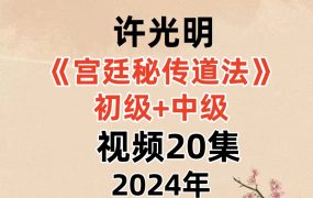 【合集】许光明宫廷秘传道法初级+中级，视频20集