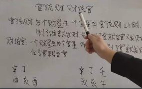 政焱政燚 零基础盲派八字初级班70集视频