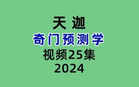 天迦奇门预测学25集视频