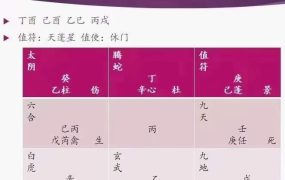 刘文元弟子晓午奇门课程，视频14集+PPT文本资料
