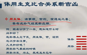 易熵戊阳第一期弟子班梅花易数视频7集+讲义9本